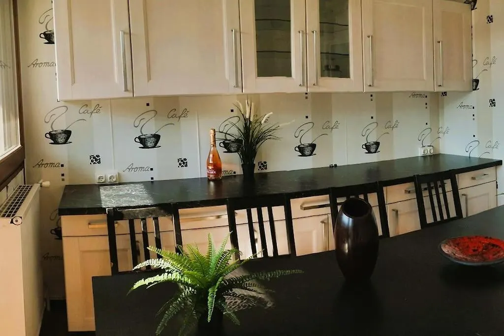 Apartment Residence Du Parc De Lyon Est 102M2 Pkg Free Saint-Priest