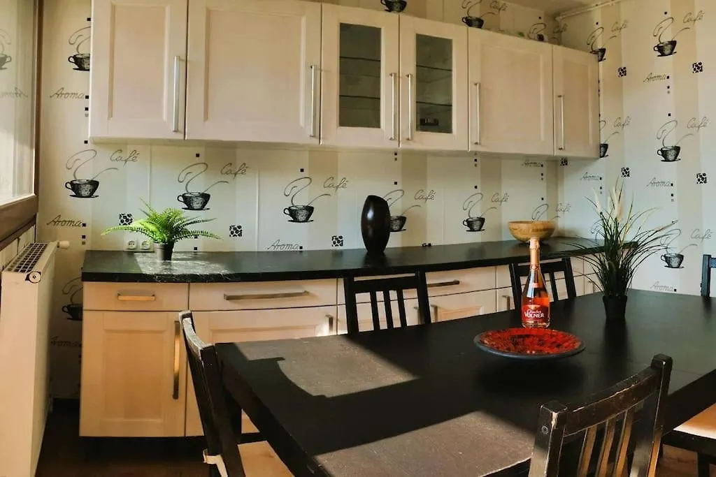 Residence Du Parc De Lyon Est 102M2 Pkg Free Saint-Priest  Apartment